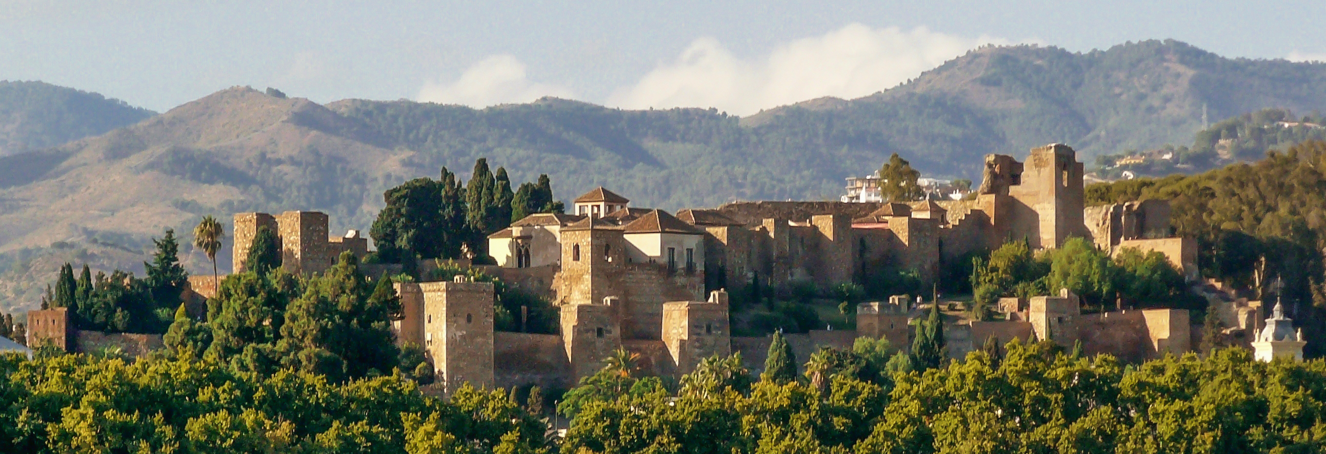 Alcazaba & Gibralfaro Castle ticket